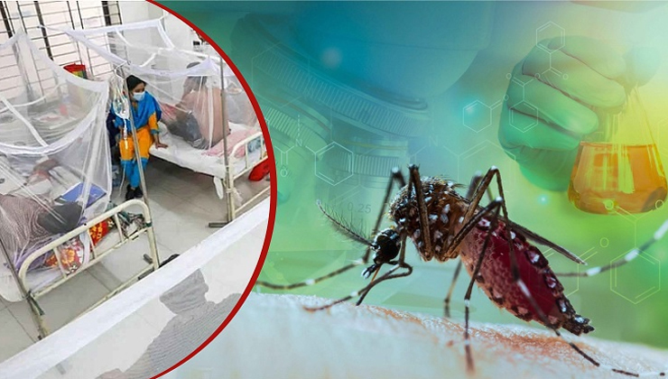 ডেঙ্গুতে আক্রান্ত হয়ে হাসপাতালে ভর্তি ১৬৫ জন