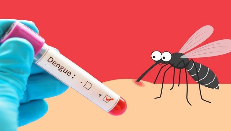 ডেঙ্গুতে ৫ জনের মৃত্যু, হাসপাতালে ভর্তি ১৭২